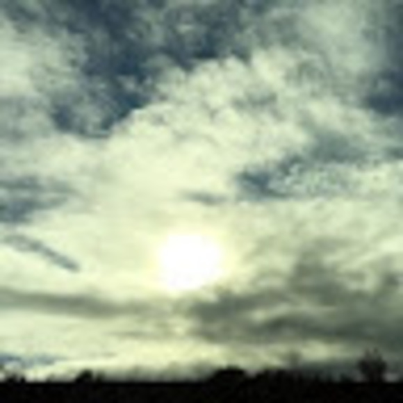 Meet your Posher, Morgan - Picture 1 of 1